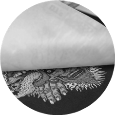 DTF DTF - Agave Azul Uniformes